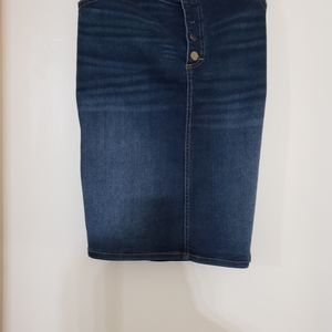 Women's Plus Size Denim Pencil Skirt